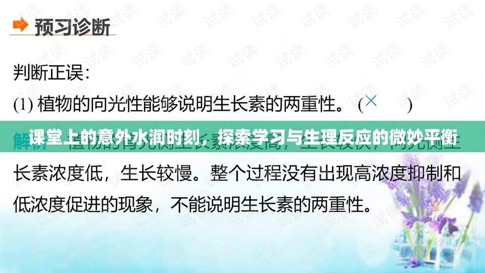 課堂上的意外水潤時刻，探索學(xué)習(xí)與生理反應(yīng)的微妙平衡