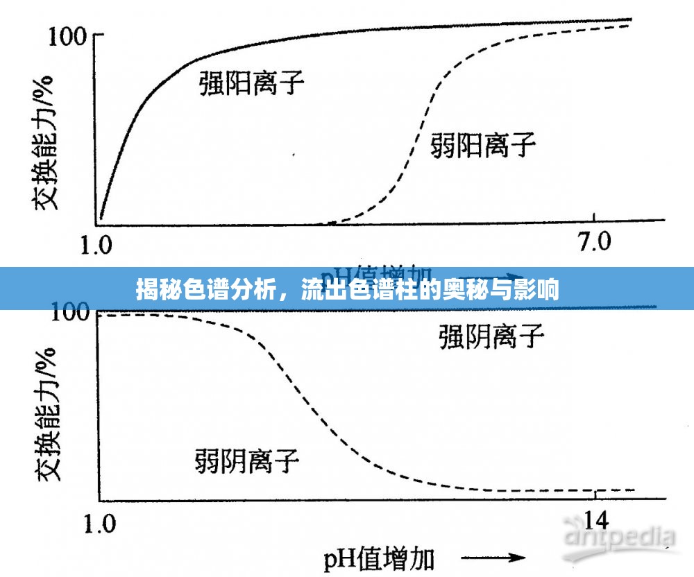 揭秘色譜分析，流出色譜柱的奧秘與影響