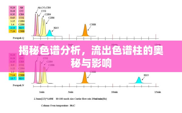 揭秘色譜分析，流出色譜柱的奧秘與影響