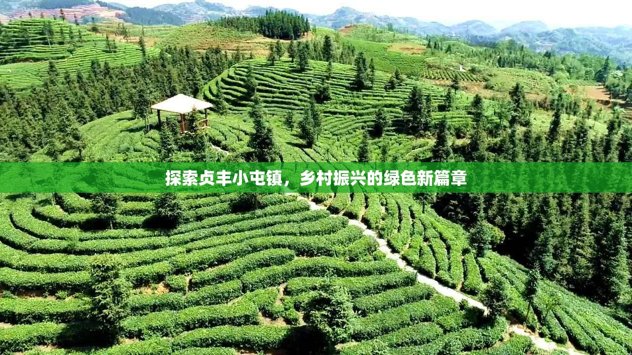 探索貞豐小屯鎮(zhèn)，鄉(xiāng)村振興的綠色新篇章