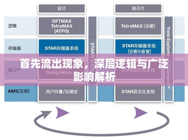 首先流出現(xiàn)象，深層邏輯與廣泛影響解析