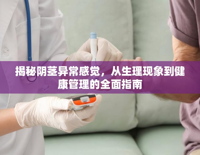 揭秘陰莖異常感覺(jué)，從生理現(xiàn)象到健康管理的全面指南