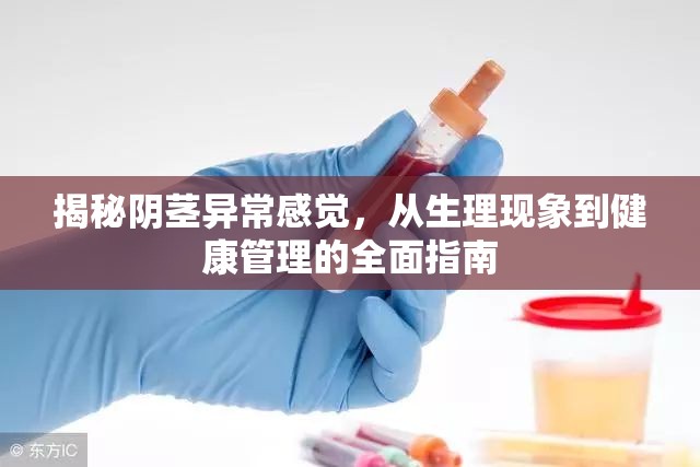 揭秘陰莖異常感覺(jué)，從生理現(xiàn)象到健康管理的全面指南