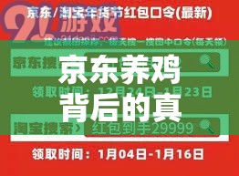 京東養(yǎng)雞背后的真相與挑戰(zhàn)，一場關于透明度與責任的深度揭秘