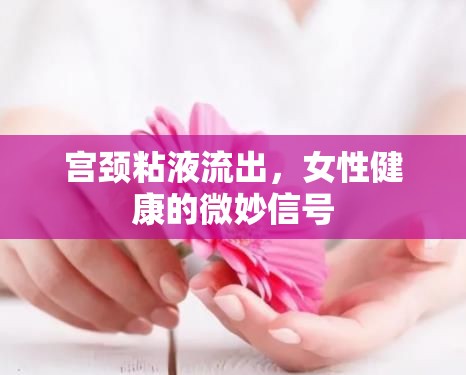 宮頸粘液流出，女性健康的微妙信號