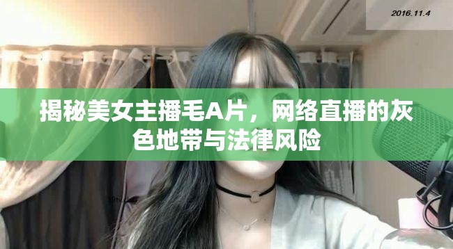 揭秘美女主播毛A片，網絡直播的灰色地帶與法律風險