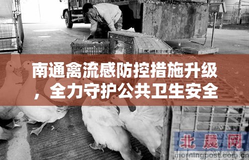 南通禽流感防控措施升級，全力守護公共衛(wèi)生安全