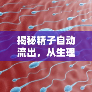 揭秘精子自動流出，從生理現(xiàn)象到健康管理的全面解析