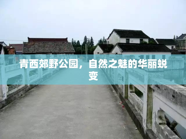 青西郊野公園，自然之魅的華麗蛻變