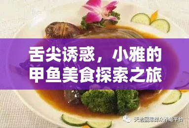 舌尖誘惑，小雅的甲魚美食探索之旅