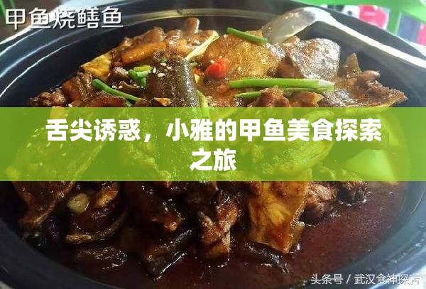 舌尖誘惑，小雅的甲魚美食探索之旅