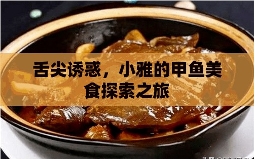 舌尖誘惑，小雅的甲魚美食探索之旅