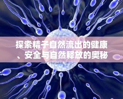 探索精子自然流出的健康、安全與自然釋放的奧秘