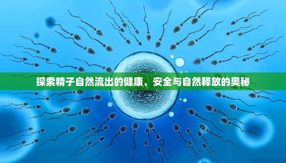 探索精子自然流出的健康、安全與自然釋放的奧秘