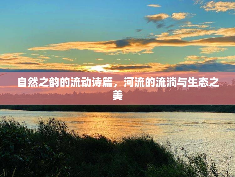 自然之韻的流動詩篇，河流的流淌與生態(tài)之美