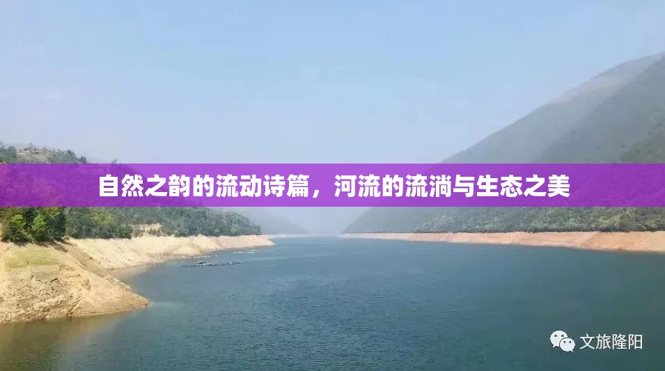 自然之韻的流動詩篇，河流的流淌與生態(tài)之美