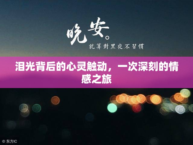 淚光背后的心靈觸動(dòng)，一次深刻的情感之旅