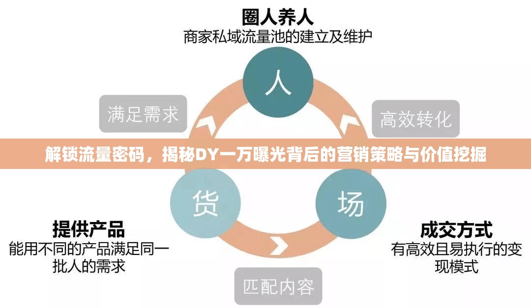 解鎖流量密碼，揭秘DY一萬曝光背后的營銷策略與價值挖掘