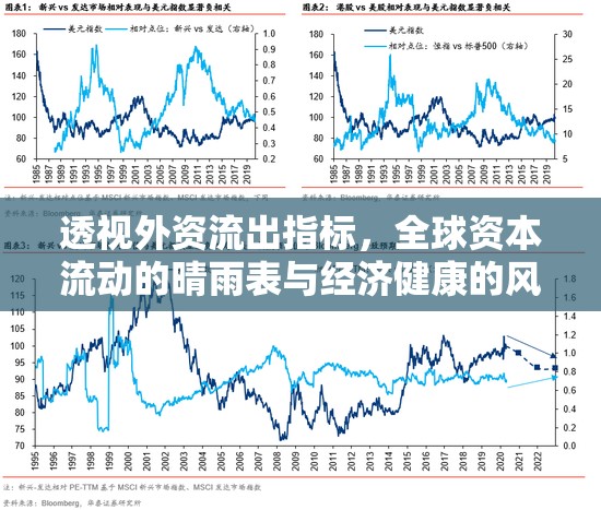 透視外資流出指標，全球資本流動的晴雨表與經(jīng)濟健康的風向標