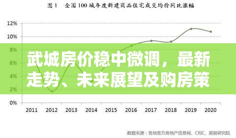 武城房價穩(wěn)中微調(diào)，最新走勢、未來展望及購房策略