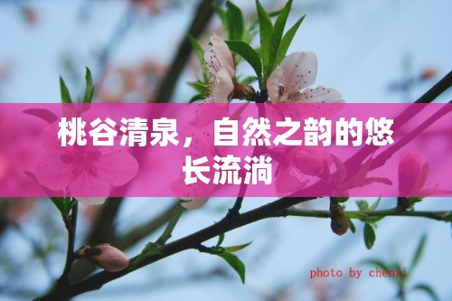 桃谷清泉，自然之韻的悠長(zhǎng)流淌