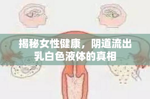 揭秘女性健康，陰道流出乳白色液體的真相