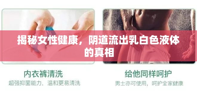 揭秘女性健康，陰道流出乳白色液體的真相