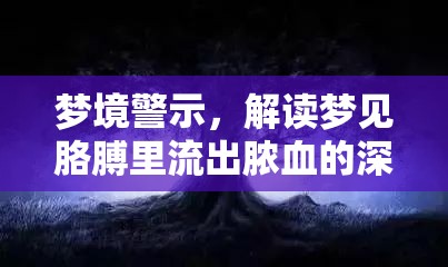 夢境警示，解讀夢見胳膊里流出膿血的深層含義