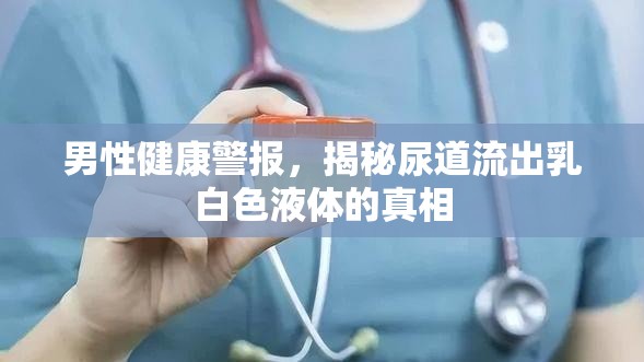 男性健康警報(bào)，揭秘尿道流出乳白色液體的真相