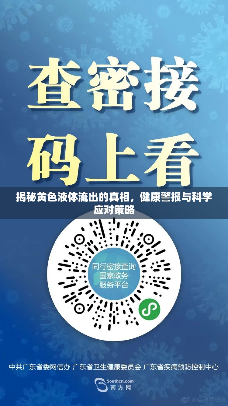 揭秘黃色液體流出的真相，健康警報與科學應對策略