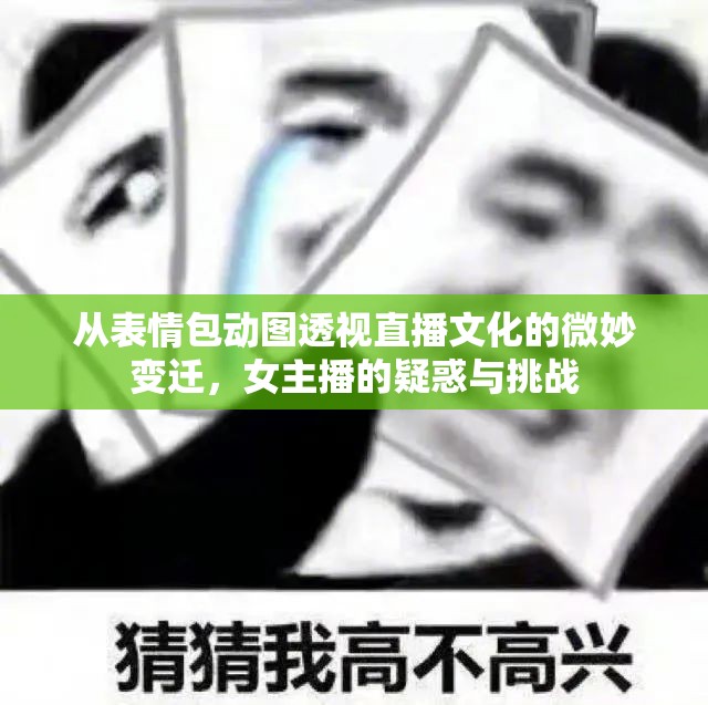 從表情包動圖透視直播文化的微妙變遷，女主播的疑惑與挑戰(zhàn)