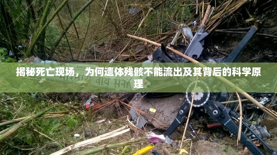 揭秘死亡現(xiàn)場(chǎng)，為何遺體殘骸不能流出及其背后的科學(xué)原理