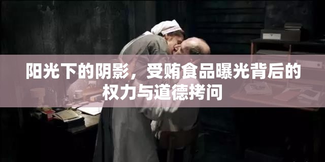 陽光下的陰影，受賄食品曝光背后的權(quán)力與道德拷問