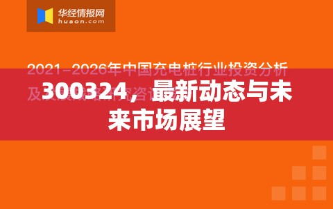 300324，最新動態(tài)與未來市場展望