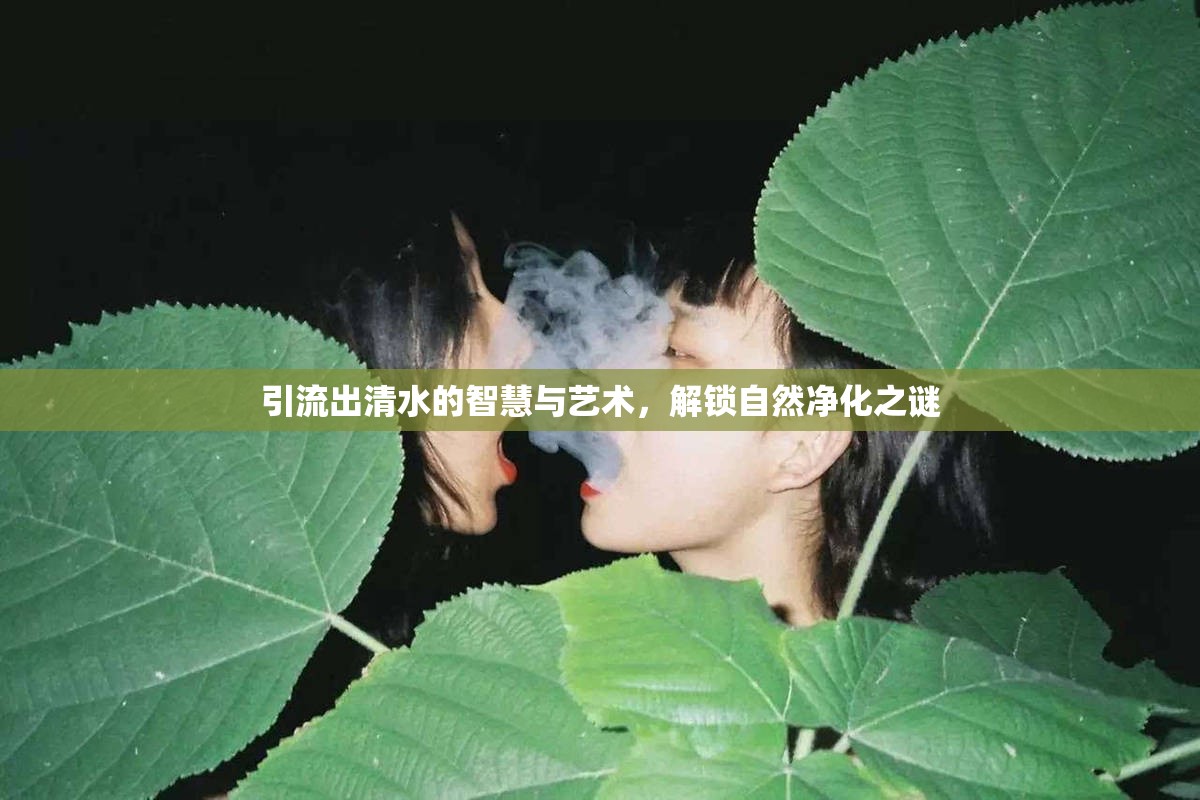 引流出清水的智慧與藝術(shù)，解鎖自然凈化之謎