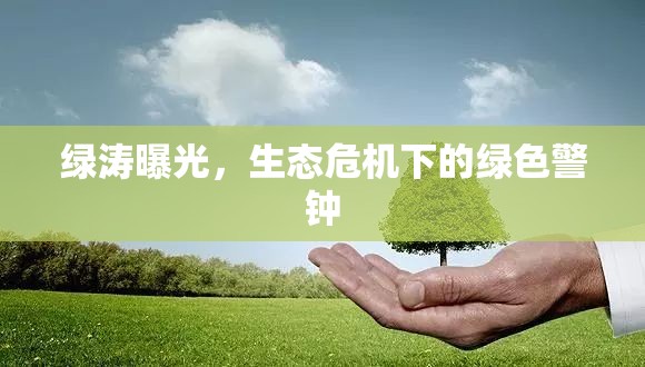 綠濤曝光，生態(tài)危機下的綠色警鐘