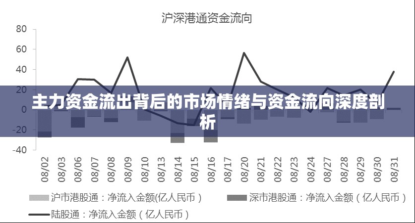 主力資金流出背后的市場(chǎng)情緒與資金流向深度剖析