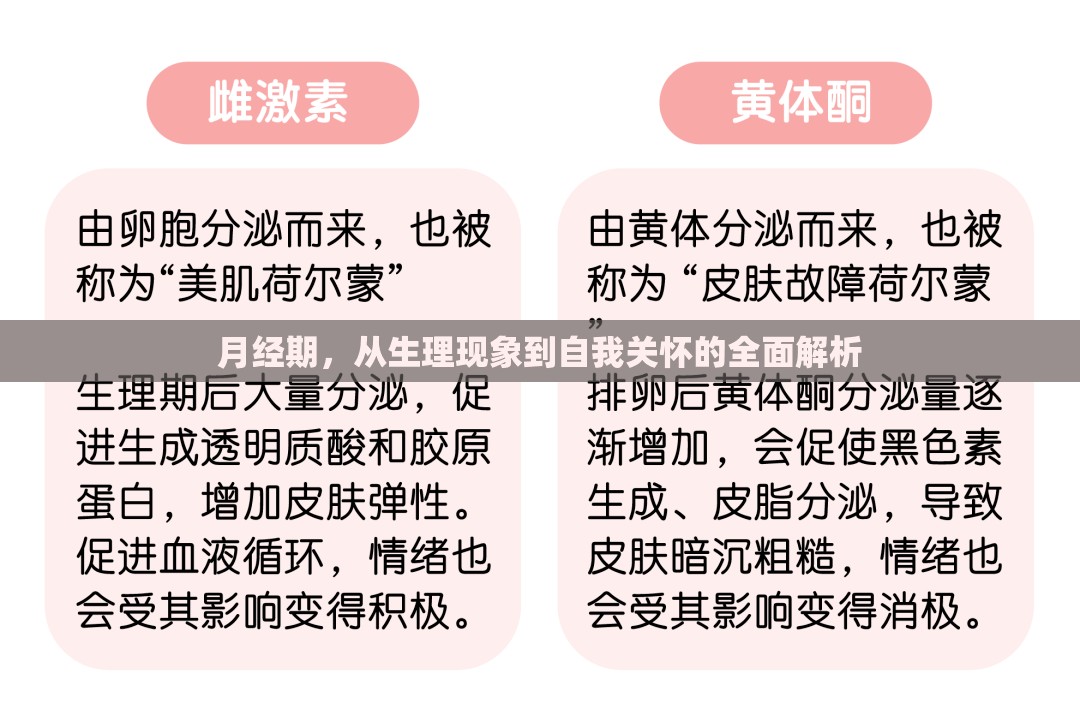 月經期，從生理現象到自我關懷的全面解析