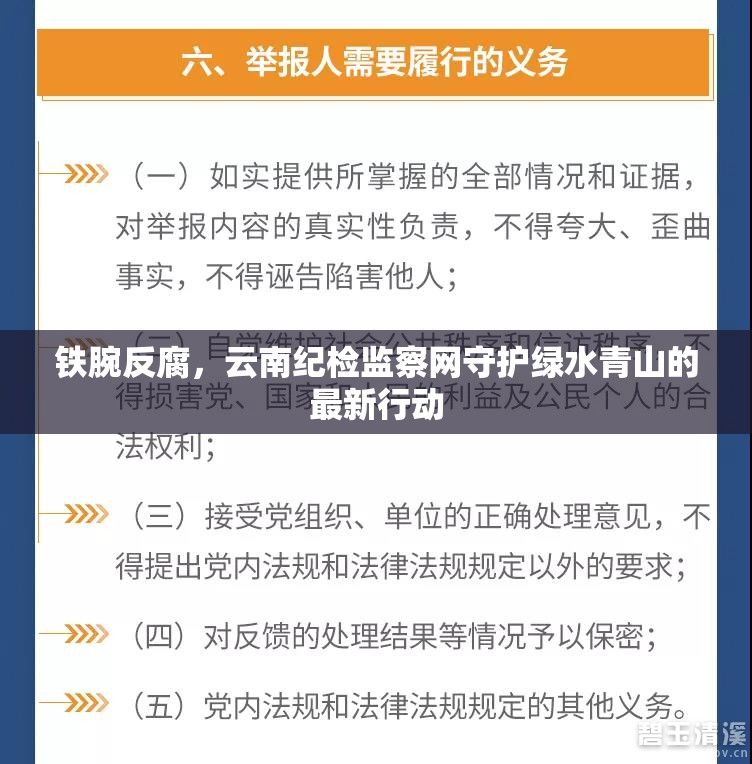 鐵腕反腐，云南紀(jì)檢監(jiān)察網(wǎng)守護(hù)綠水青山的最新行動