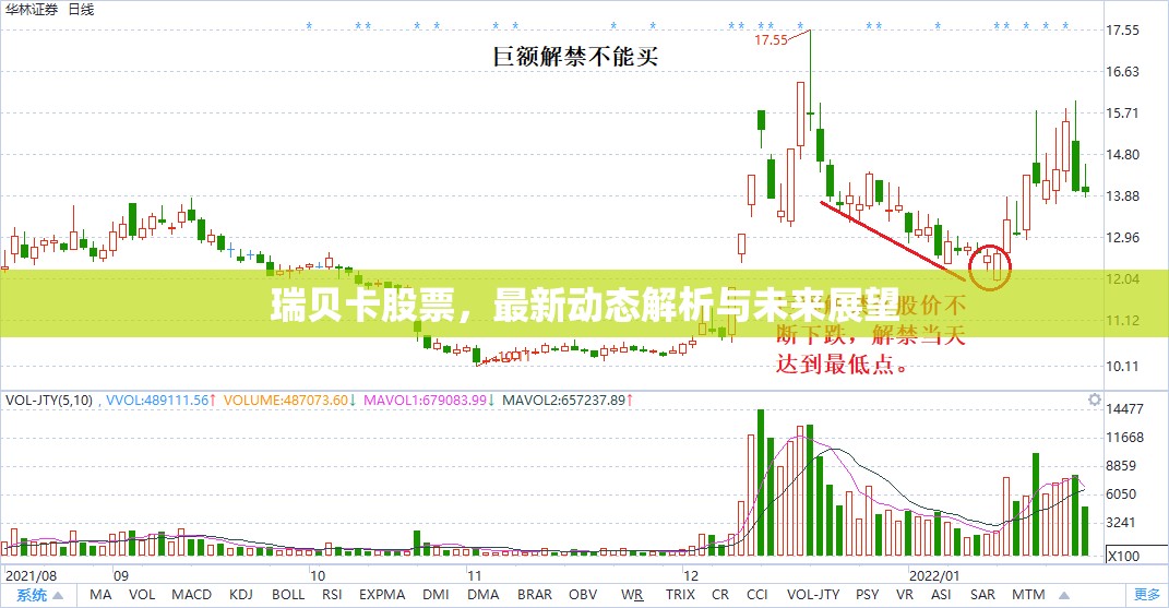 瑞貝卡股票，最新動態(tài)解析與未來展望