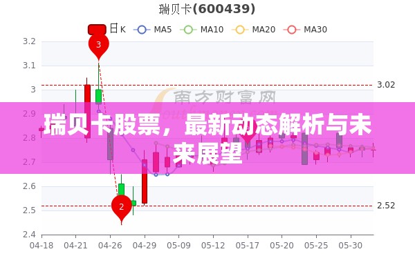 瑞貝卡股票，最新動態(tài)解析與未來展望