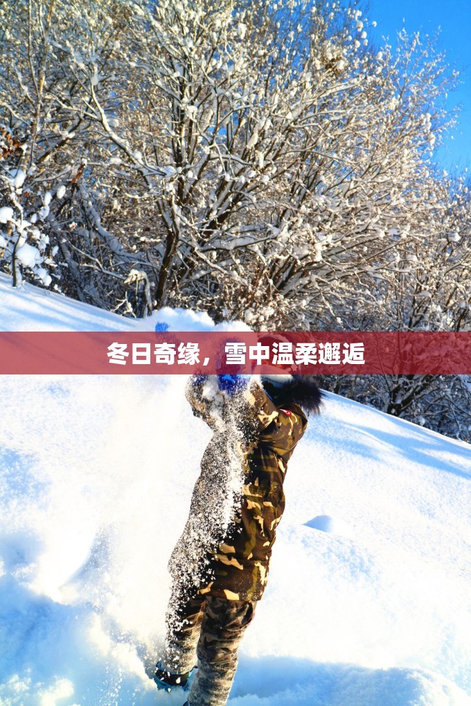 冬日奇緣，雪中溫柔邂逅