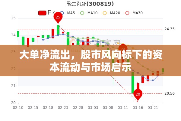 大單凈流出，股市風向標下的資本流動與市場啟示