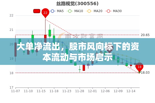 大單凈流出，股市風(fēng)向標(biāo)下的資本流動(dòng)與市場啟示