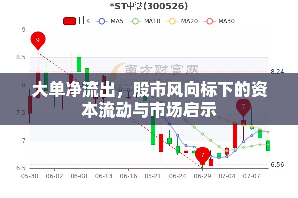 大單凈流出，股市風(fēng)向標(biāo)下的資本流動(dòng)與市場啟示