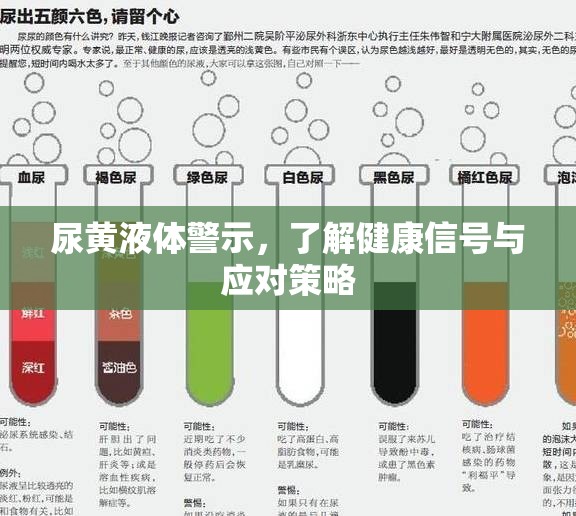 尿黃液體警示，了解健康信號與應(yīng)對策略