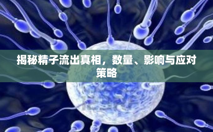 揭秘精子流出真相，數(shù)量、影響與應對策略