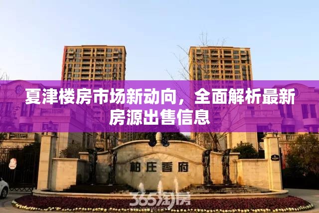 夏津樓房市場新動向，全面解析最新房源出售信息