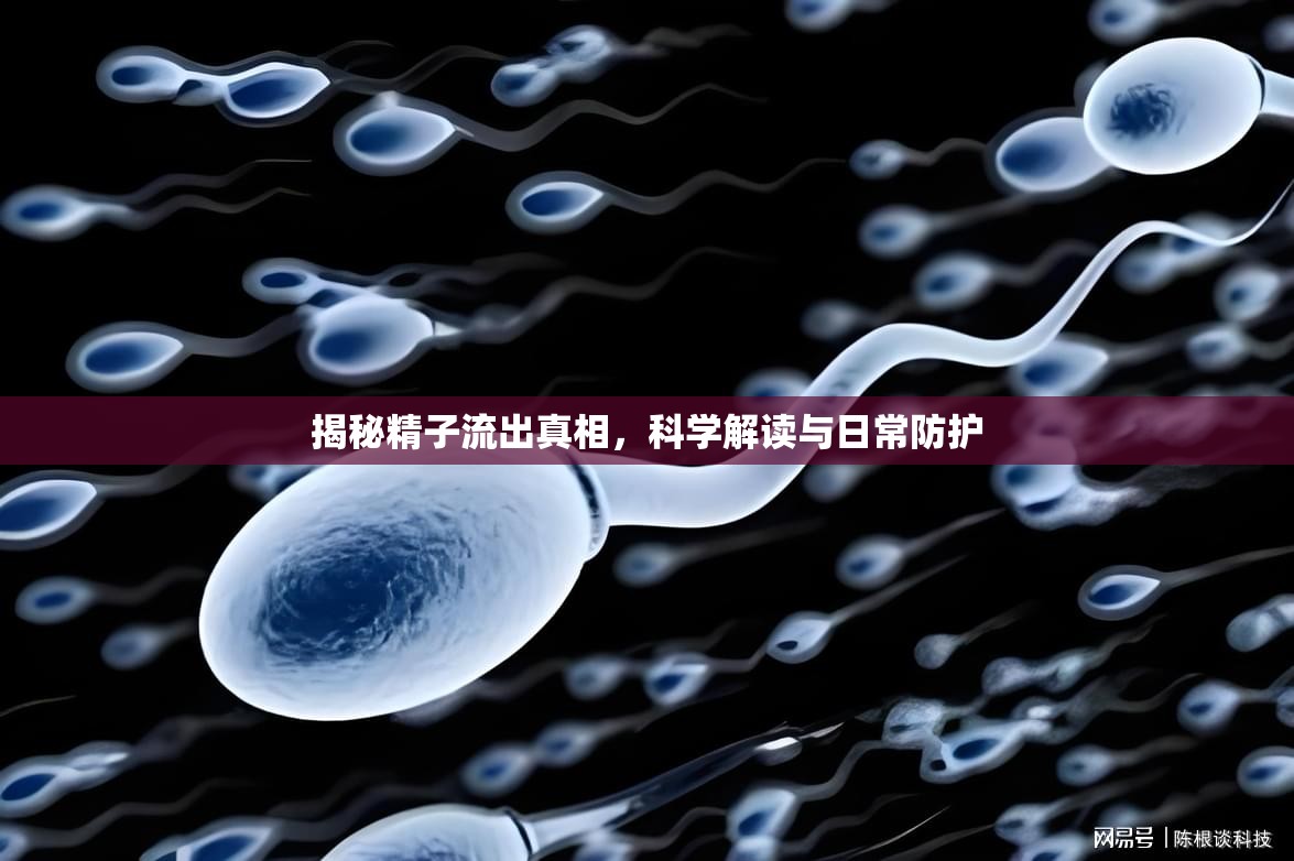 揭秘精子流出真相，科學解讀與日常防護