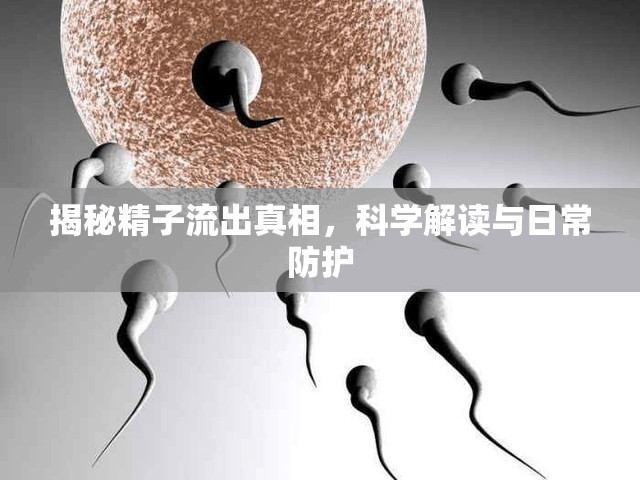 揭秘精子流出真相，科學解讀與日常防護